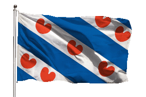 Friesland Vlag Small Friesland Vlag Small